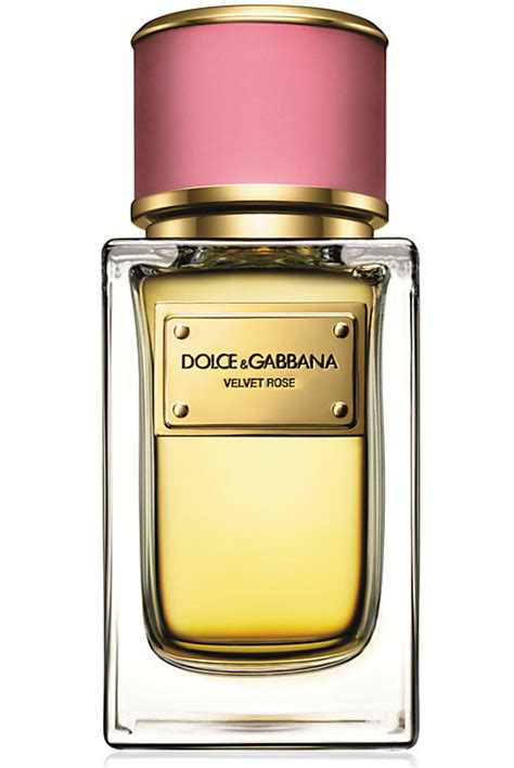 most popular dolce and gabbana perfume|dolce gabbana perfume women reviews.